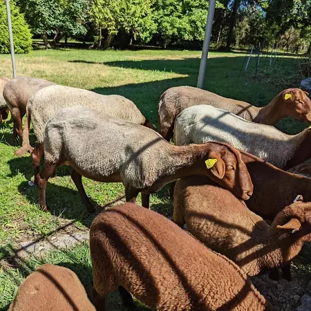 Familial Avec Piscine Chauffee Et Wifi, Au Coeur De La Nature, Proche Chadurie, Charente - Fr-1-653-172 Montmoreau