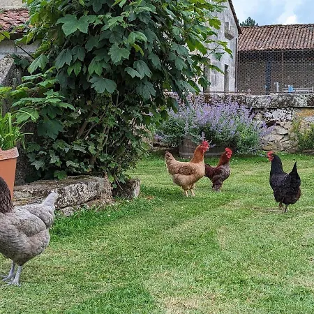 Familial Avec Piscine Chauffee Et Wifi, Au Coeur De La Nature, Proche Chadurie, Charente - Fr-1-653-172 * Montmoreau